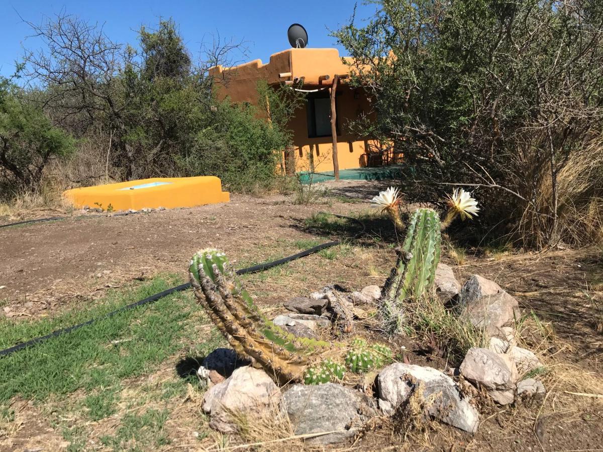 كابيلا ديل مونتي Cabanas Taos Pueblo المظهر الخارجي الصورة
